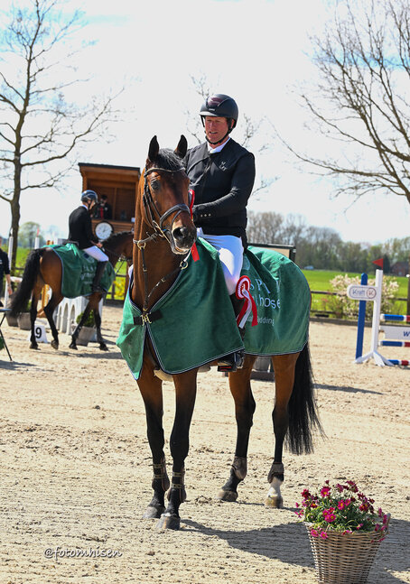 Clear Heart Z by Casall SEM out of Mjanghøj's Count on me Z by 3Q Coulthard - A'Khan Z |Breeder: Torben Nielsen and Eva Jørgensen , Denmark