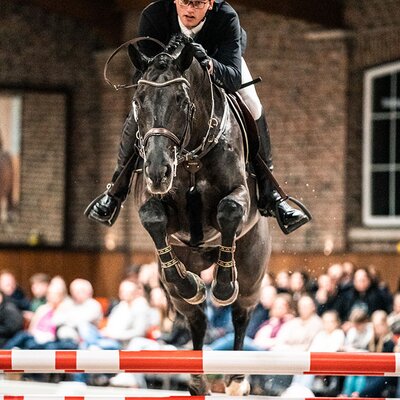 Comanchero von Comme Prévu aus der Lady Heida II von Landor S - Contender | Züchter: Gerd Sosath, Lemwerder 