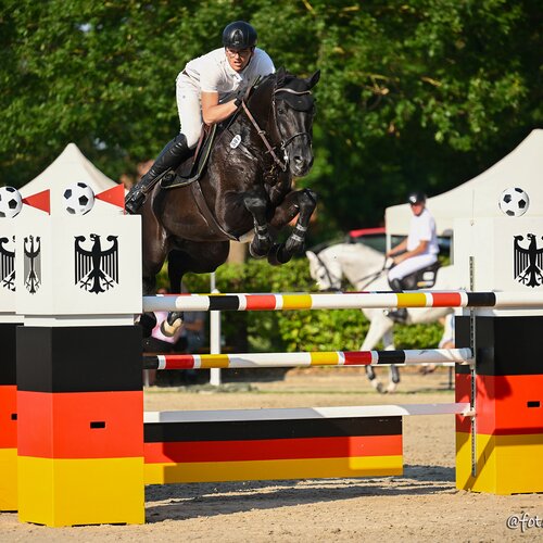 Comanchero by Comme Prévu out of Lady Heida II by Landor S x Contender | Gerd Sosath, Lemwerder
