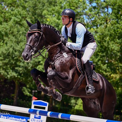 Comanchero by Comme Prévu out of Lady Heida II by Landor S x Contender | Gerd Sosath, Lemwerder