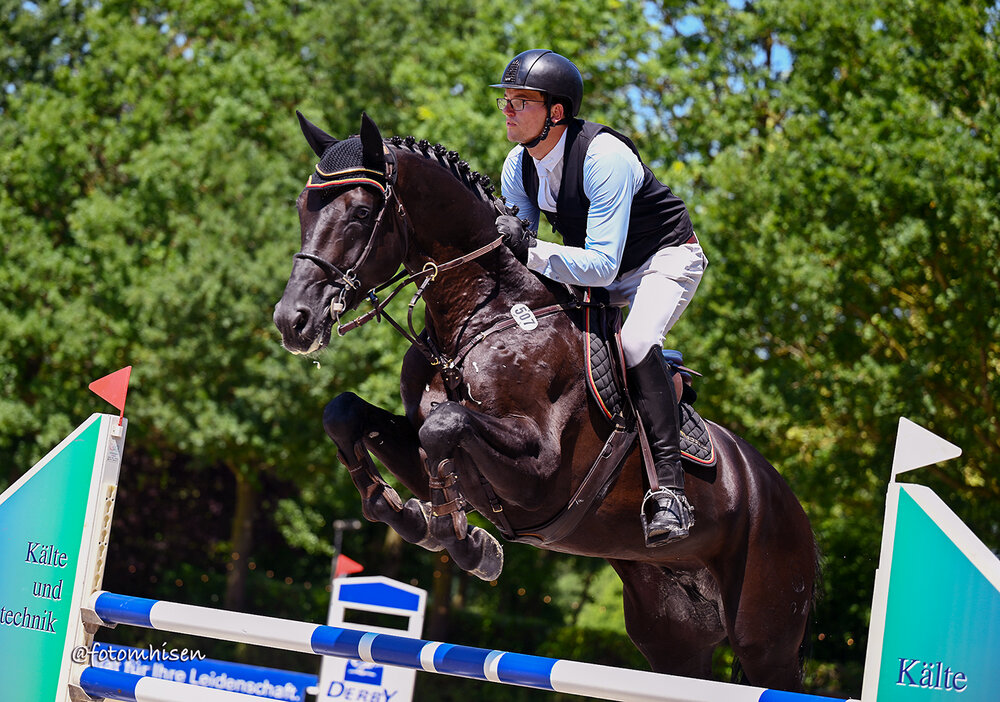 Comanchero by Comme Prévu out of Lady Heida II by Landor S x Contender | Gerd Sosath, Lemwerder