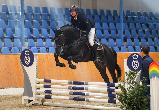 Comanchero von Comme Prévu a.d. Lady Heida II v. Landor S x Contender