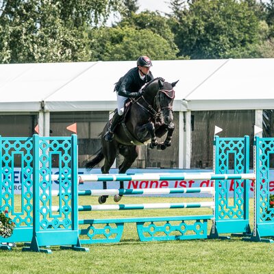 Comanchero von Comme Prévu aus der Lady Heida II von Landor S x Contender | Gerd Sosath, Lemwerder | © Hannes Logemann