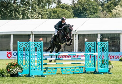 Comanchero von Comme Prévu aus der Lady Heida II von Landor S x Contender | Gerd Sosath, Lemwerder | © Hannes Logemann
