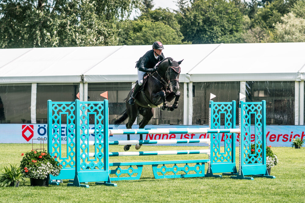 Comanchero von Comme Prévu aus der Lady Heida II von Landor S x Contender | Gerd Sosath, Lemwerder | © Hannes Logemann