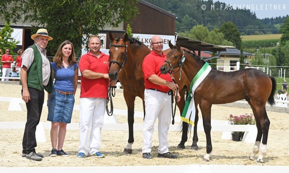 Foal Champion by Comme Prévu out of Atlanta M by Numero Uno x Carbido | Michael Haas, Austria