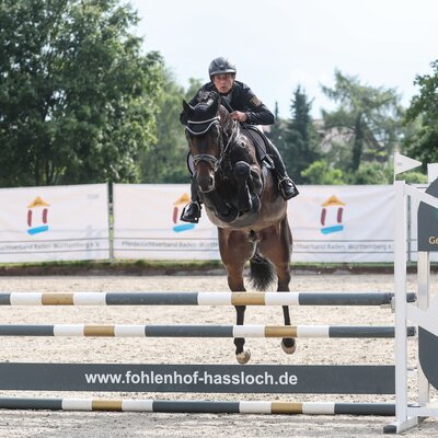 Landeschampion Comme Cavelle von Comme Prévu aus der Zebrina von Pasco x Cascavelle | Züchter: Wolfgang Reich, Heidenheim