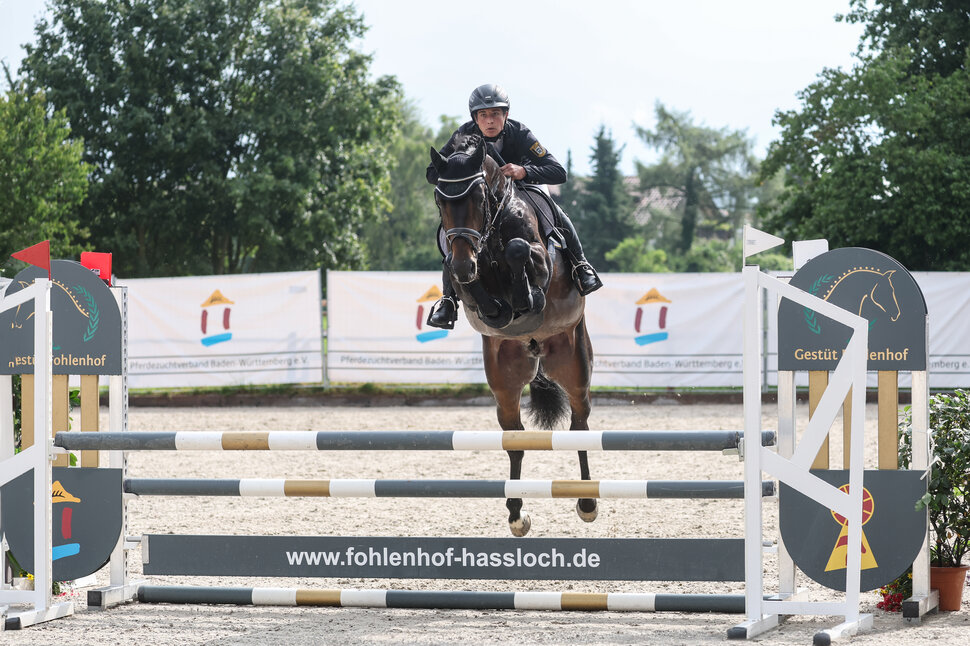 Landeschampion Comme Cavelle von Comme Prévu aus der Zebrina von Pasco x Cascavelle | Züchter: Wolfgang Reich, Heidenheim