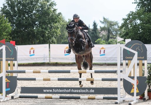 Landeschampion Comme Cavelle von Comme Prévu aus der Zebrina von Pasco x Cascavelle | Züchter: Wolfgang Reich, Heidenheim