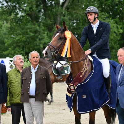 DSP-Champion Clisco von Comme Prévu - Air Jordan | Züchterin: Bettina Dür-Lehner