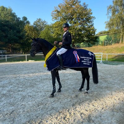 Polnischer Champion von Comme Prévu aus der Cassandra von Cador x Lordanos | Züchter: Finn Tomforde, Kutenholz