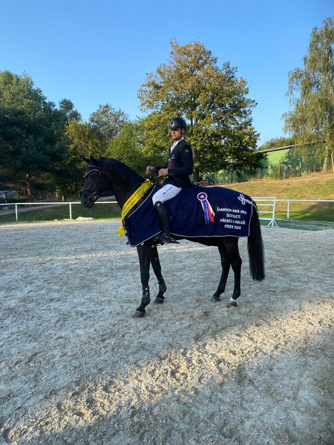 Polnischer Champion von Comme Prévu aus der Cassandra von Cador x Lordanos | Züchter: Finn Tomforde, Kutenholz