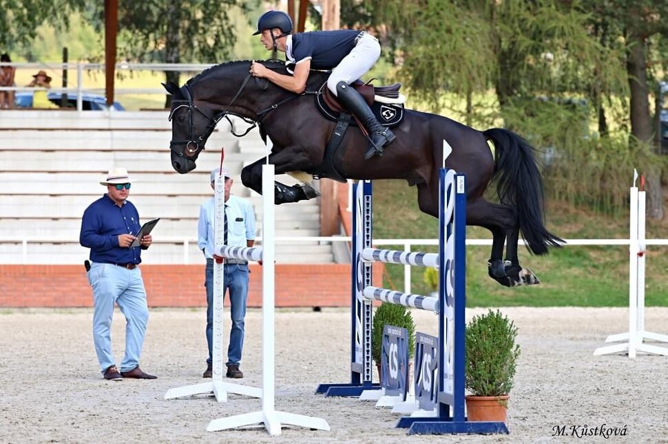 Polnischer Champion von Comme Prévu aus der Cassandra von Cador x Lordanos | Züchter: Finn Tomforde, Kutenholz