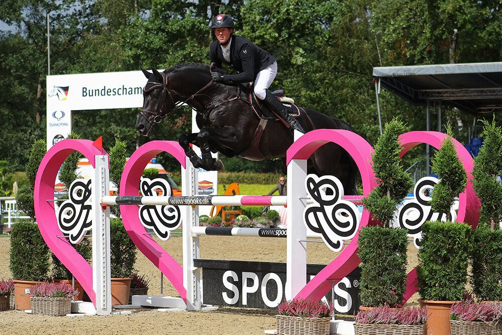 Comme Prévu von Comme il faut aus der Quintessa von Quinta Real - Balou du Rouet  | Züchter: IB Berger GmbH, Sulzbach-Rosenberg 