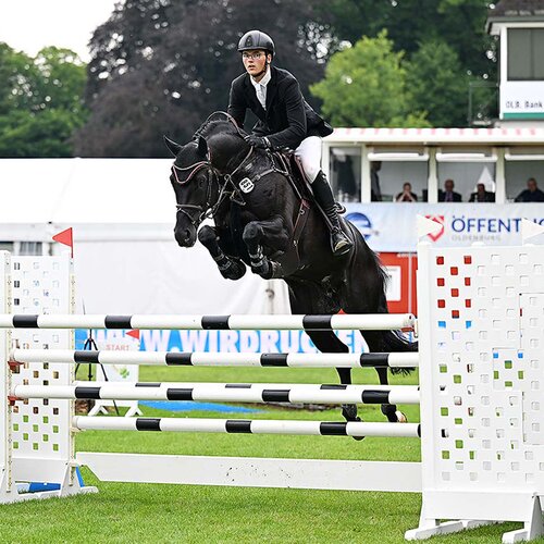 Comme Prévu by Comme il faut out of Quintessa by Quinta Real - Balou du Rouet  | Breeder: IB Berger GmbH, Sulzbach-Rosenberg 