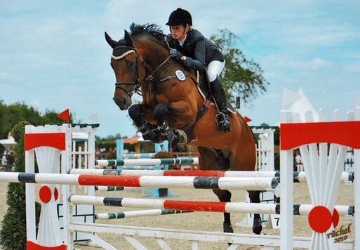 Concreto von Contender aus der Hafolia von Calando I - Capitano | Züchter: Franz-Josef Jansen, Erkelenz