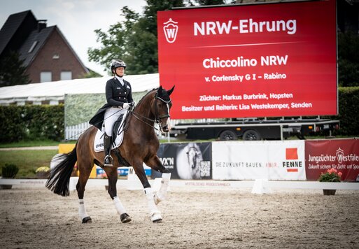 Chiccolino NRW von Corlensky aus der Rabina von Rabino - Wiesengrund | Züchter: Markus Burbrink