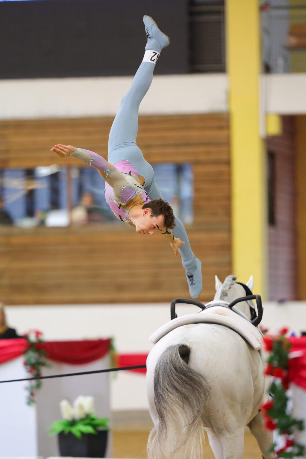 Cleiner Onkel T OLD von Corlensky G aus der Fantaska von Azaro - Grannus | Züchter: Gerold Tönjes, Ganderkesee