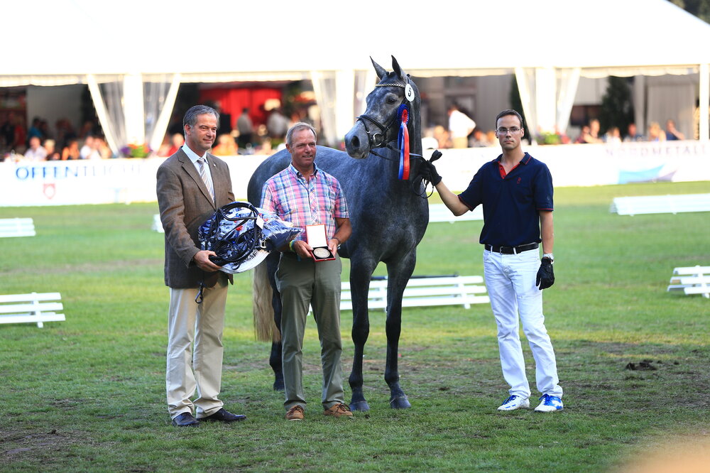 Hollywood by Corlensky G out of Heideglück by Landadel - Godehard | Breeder: Gerd Sosath, Lemwerder
