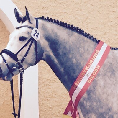 Winner stallion Cordolensky by Corlensky G - Sandro Boy - Lysander | Breeder: Johann Rainer, Austria