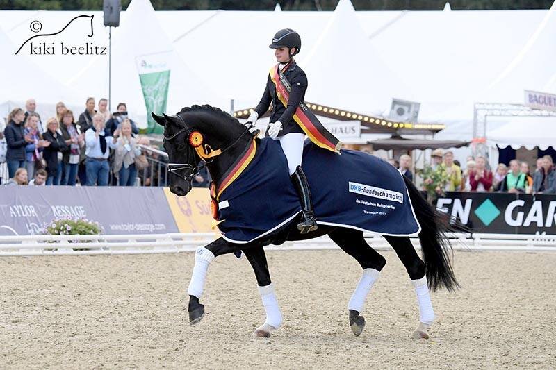 Devonport von Dancier aus der Ratina von Ravallo - Westbury | Züchter: Christine Miesner, Scheeßel