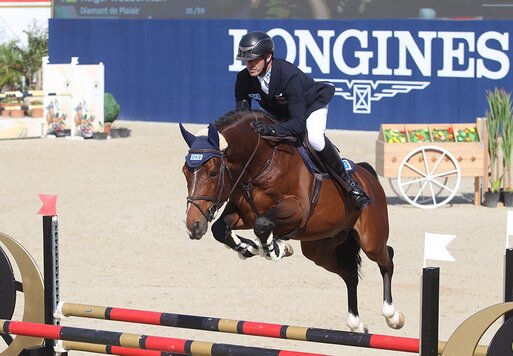 Diamant de Plaisir von Diamant de Semilly a.d. Lady Pleasure von For Pleasure a.d. Lady Heida I v. Landor S | Breeder: Gerd Sosath, Lemwerder 