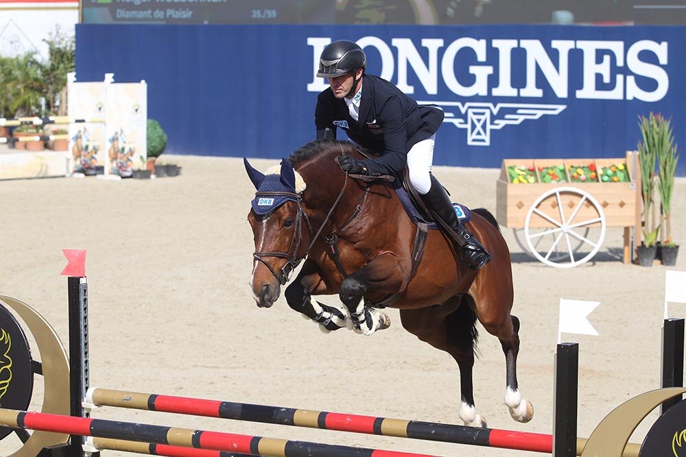 Diamant de Plaisir von Diamant de Semilly a.d. Lady Pleasure von For Pleasure a.d. Lady Heida I v. Landor S | Breeder: Gerd Sosath, Lemwerder 