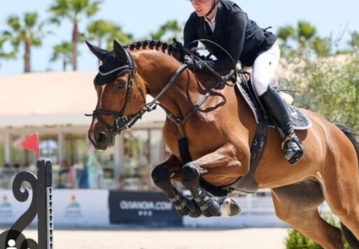 Dieter's Plaisir von Diamant de Plaisir I - Cairo - Lord | Züchter: Dr. Hermann Fleig