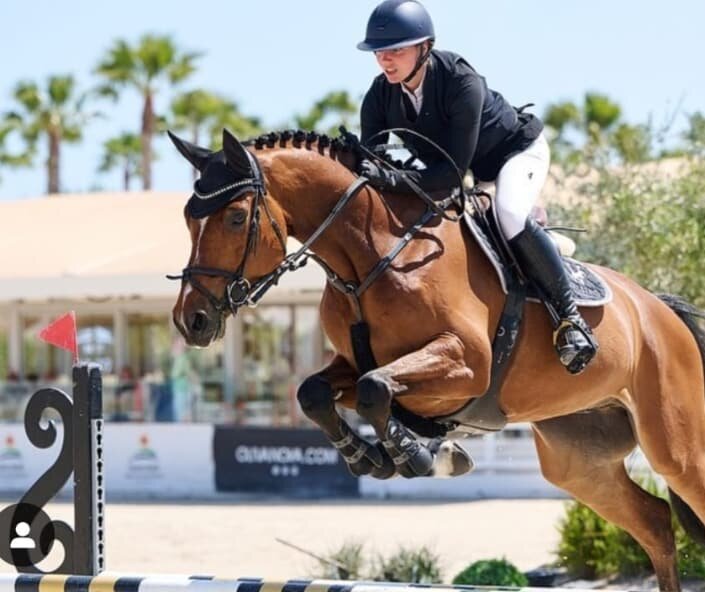 Dieter's Plaisir von Diamant de Plaisir I - Cairo - Lord | Züchter: Dr. Hermann Fleig