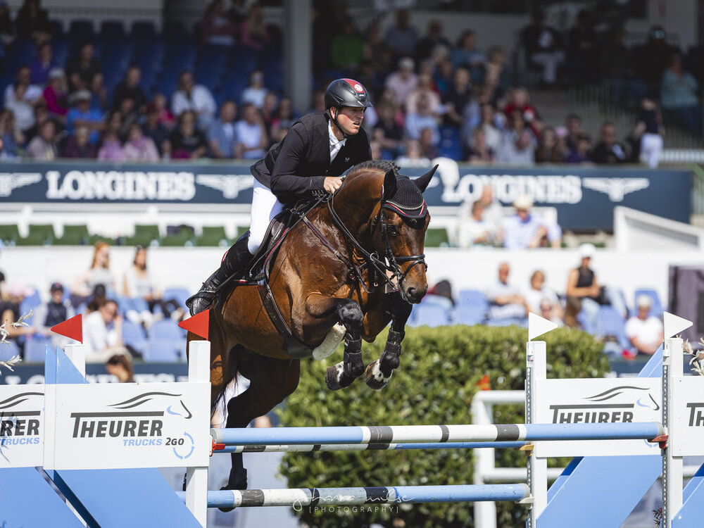 Diamant de Plaisir II von Diamant de Semilly aus der Lady Pleasure von For Pleasure x Landor S | Züchter: Gerd Sosath, Lemwerder  