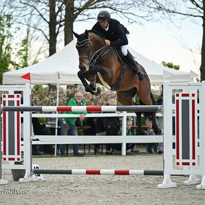 Diamant de Plaisir II von Diamant de Semilly aus der Lady Pleasure von For Pleasure x Landor S | Züchter: Gerd Sosath, Lemwerder  