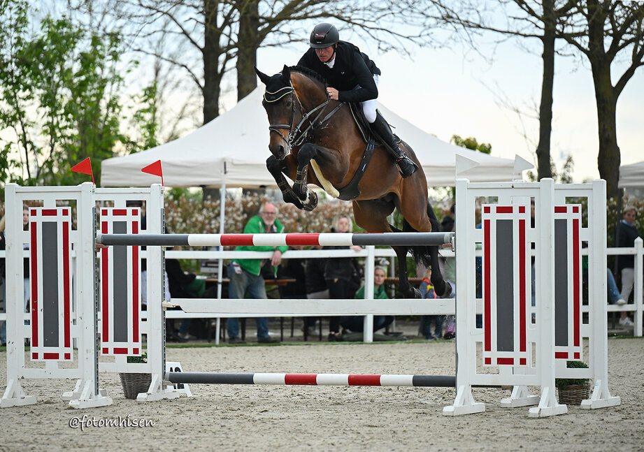 Diamant de Plaisir II von Diamant de Semilly aus der Lady Pleasure von For Pleasure x Landor S | Züchter: Gerd Sosath, Lemwerder  