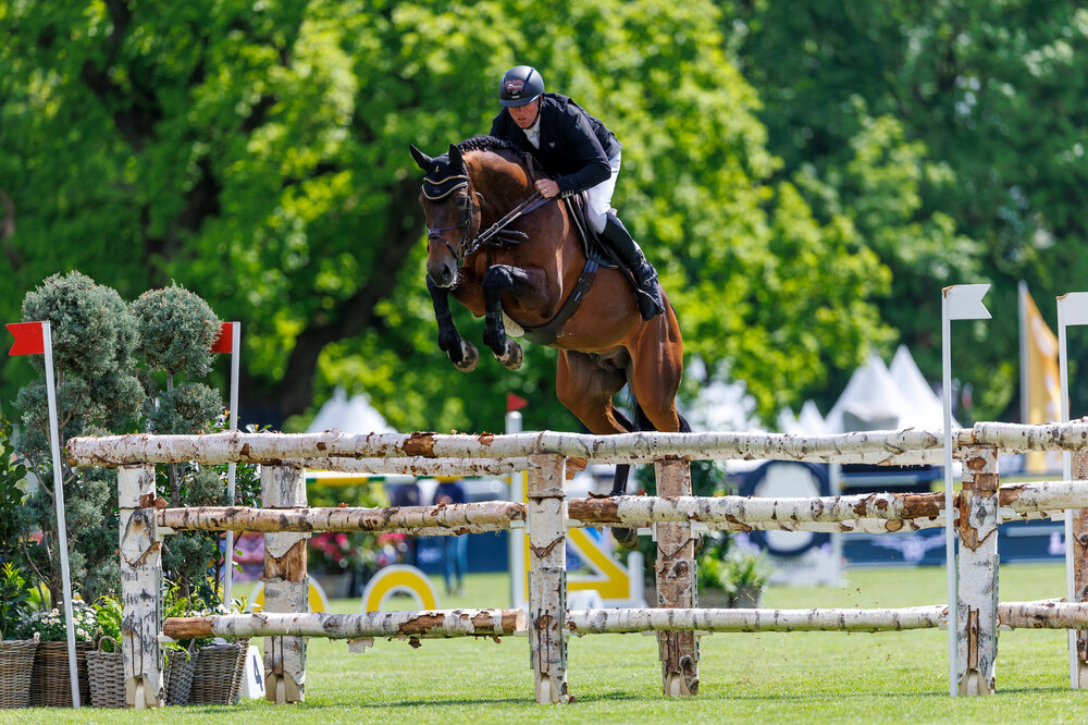 Diamant de Plaisir II by Diamant de Semilly out of Lady Pleasure by For Pleasure x Landor S | Breeder: Gerd Sosath, Lemwerder   | © Stefan Lafrentz