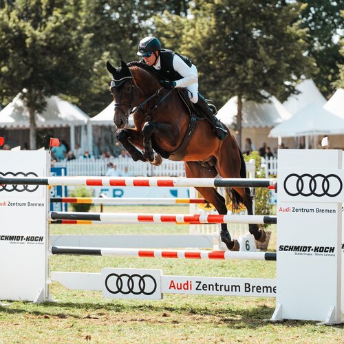 Diamant de Plaisir II by Diamant de Semilly out of Lady Pleasure by For Pleasure - Landor S | Breeder: Gerd Sosath, Lemwerder  