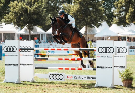 Diamant de Plaisir II by Diamant de Semilly out of Lady Pleasure by For Pleasure - Landor S | Breeder: Gerd Sosath, Lemwerder  