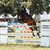 Diamant de Plaisir II by Diamant de Semilly out of Lady Pleasure by For Pleasure - Landor S | Breeder: Gerd Sosath, Lemwerder  