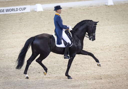 Glock's Dream Boy von Vivaldi aus der Resia von Ferro - Balzflug | Züchter: T.J.M. Coomans, Niederlande
