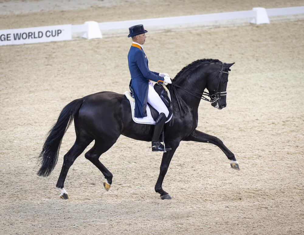 Glock's Dream Boy by Vivaldi out of Resia by Ferro - Balzflug | Breeder: T.J.M. Coomans, Netherlands