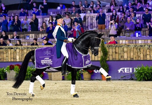 Glock's Dream Boy von Vivaldi aus der Resia von Ferro - Balzflug | Züchter: T.J.M. Coomans, Niederlande