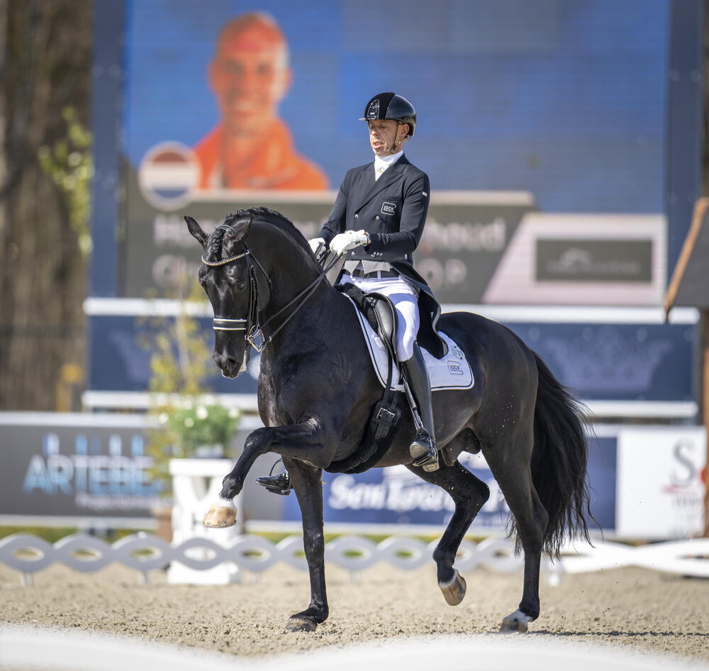 Glock's Dream Boy von Vivaldi aus der Resia von Ferro - Balzflug | Züchter: T.J.M. Coomans, Niederlande Glock's Dream Boy von Vivaldi aus der Resia von Ferro - Balzflug | Züchter: T.J.M. Coomans, Niederlande