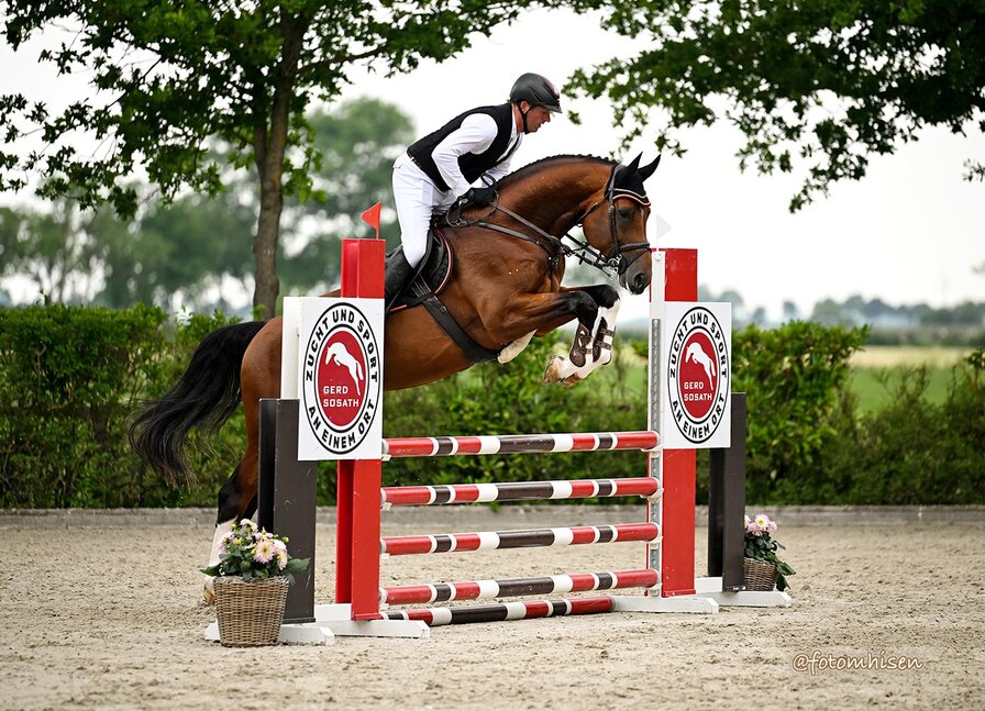 Easy Jet by Emerald van't Ruytershof out of Celestine by Cornet Obolensky - Pilot | Breeder: Zuchtgemeinschaft Blüggel, Hamm