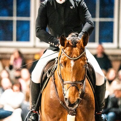 Easy Jet von Emerald van't Ruytershof aus der Celestine von Cornet Obolensky - Pilot | Züchter: Zuchtgemeinschaft Blüggel, Hamm