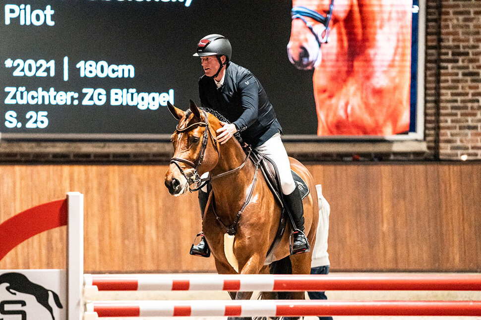 Easy Jet von Emerald van't Ruytershof aus der Celestine von Cornet Obolensky - Pilot | Züchter: Zuchtgemeinschaft Blüggel, Hamm