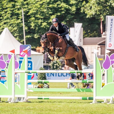 Easy Jet by Emerald van't Ruytershof out of Celestine by Cornet Obolensky - Pilot | Breeder: Zuchtgemeinschaft Blüggel, Hamm