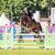 Easy Jet by Emerald van't Ruytershof out of Celestine by Cornet Obolensky - Pilot | Breeder: Zuchtgemeinschaft Blüggel, Hamm