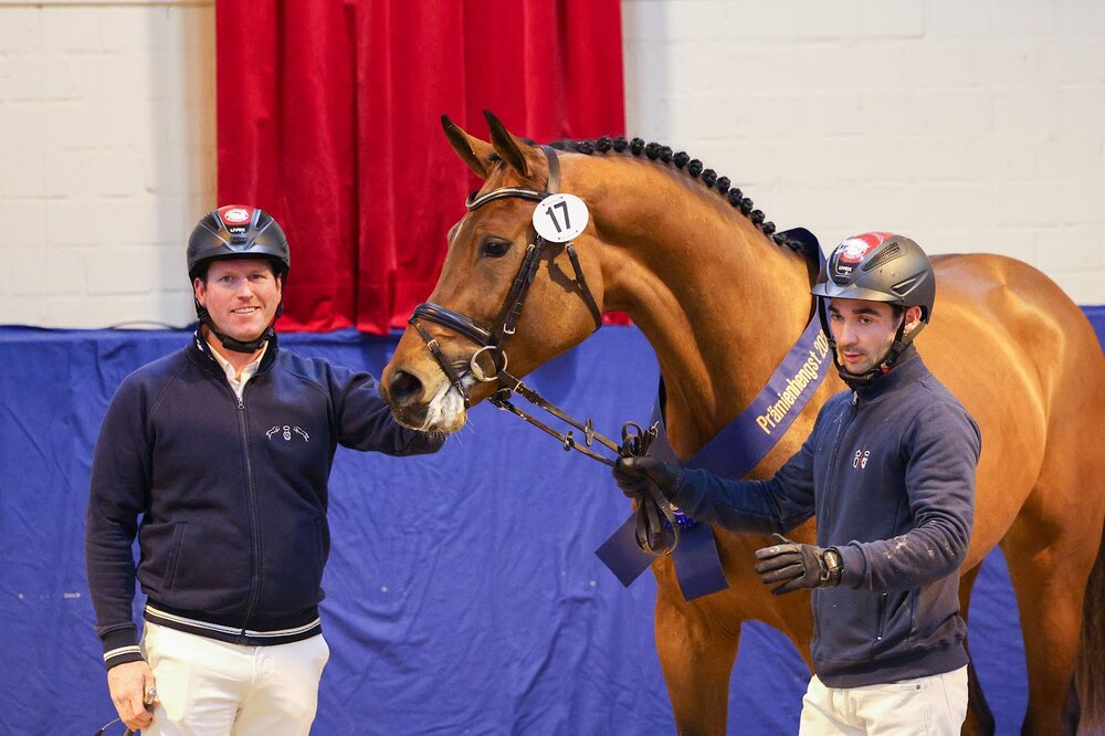 Easy Jet von Emerald van't Ruytershof aus der Celestine von Cornet Obolensky - Pilot | Züchter: Zuchtgemeinschaft Blüggel, Hamm