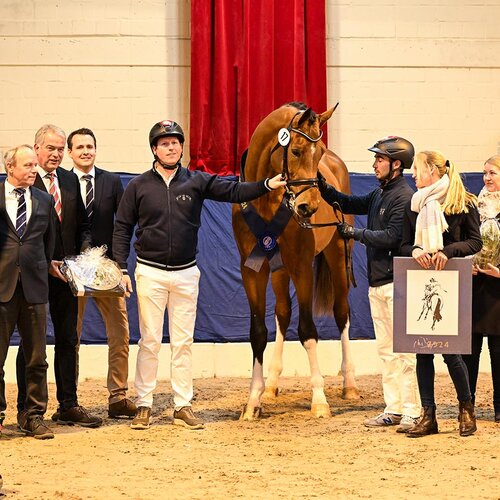 Easy Jet by Emerald van't Ruytershof out of Celestine by Cornet Obolensky - Pilot | Breeder: Zuchtgemeinschaft Blüggel, Hamm