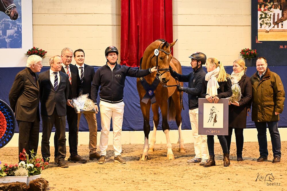 Easy Jet von Emerald van't Ruytershof aus der Celestine von Cornet Obolensky - Pilot | Züchter: Zuchtgemeinschaft Blüggel, Hamm