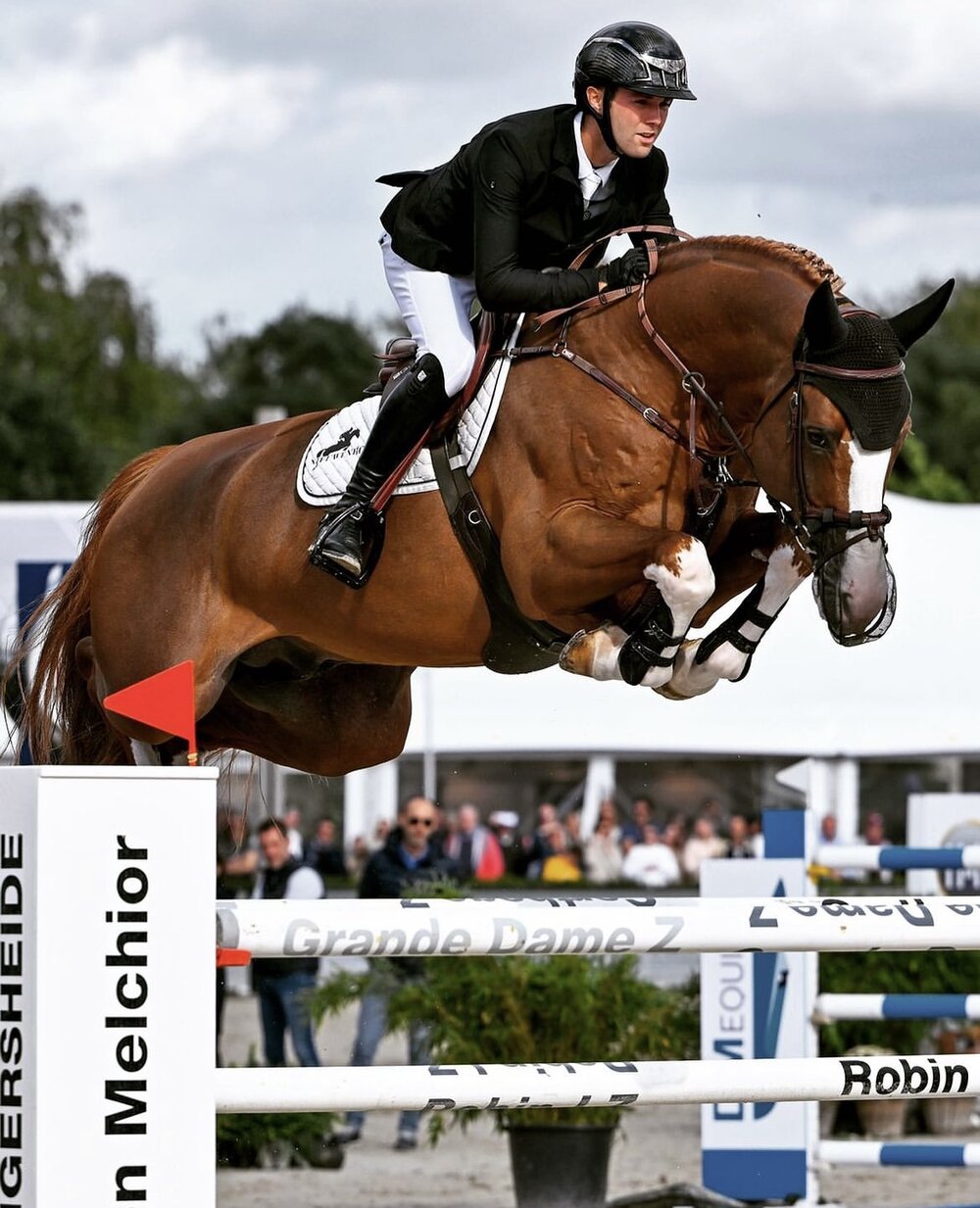 Ermitage Kalone v. Catoki a.d. Bellaventure Kalone v. Kannan | Züchter: Magali Dessalles, Frankreich