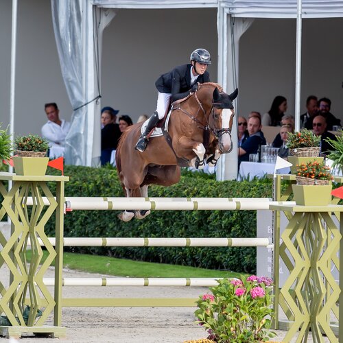 Ermitage Kalone by Catoki out of Bellaventure Kalone by Kannan | Breeder: Magali Dessalles, France | © Oliwia Chmielewska